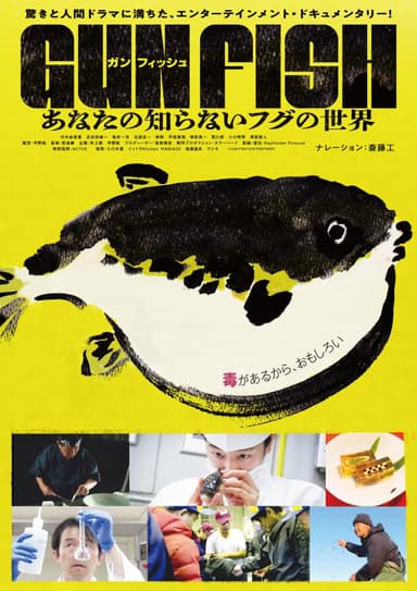 Gun Fish: The World Of Pufferfish You Never Knew