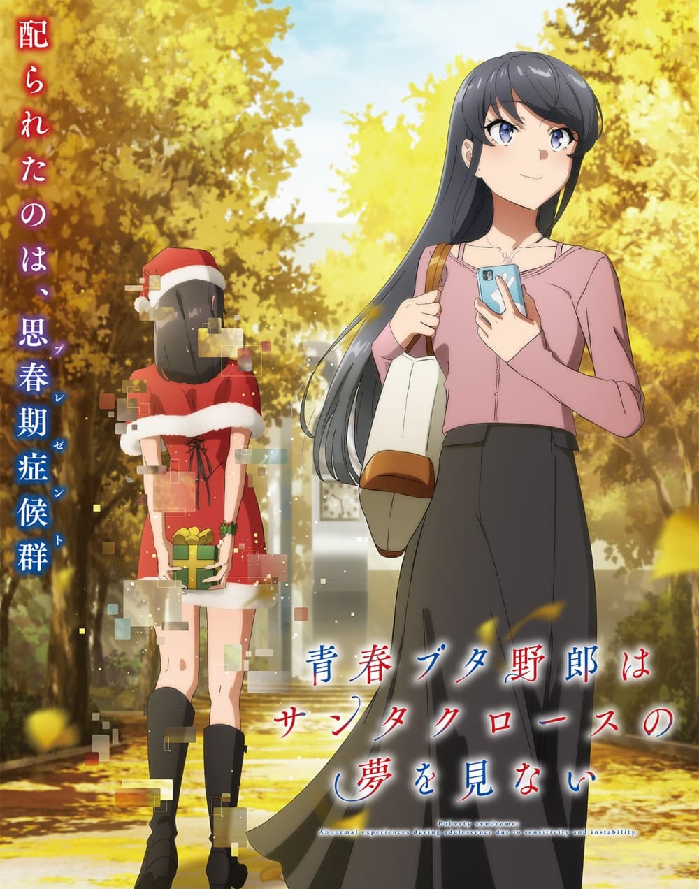 Rascal Does Not Dream of Santa Claus